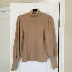 Beautiful J Crew turtleneck